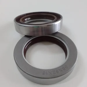 58X82X16 COMBİ-SF6 FPM 12017237  58X82X16 COMBI SF6 FPM CORTECO YAĞ KEÇESİ CARRARO 139420, CASE IH 1966194C1,5194224 , CLAAS 6000105275, JOHN DEERE ER139420,RE195989,MASSEY FERGUSON 061320R1,3789575M1, RENAULT 6000105275