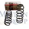 VOLKSWAGEN GOLF- 4- 98/04; ÖN HELEZON YAYI SAĞ/SOL (2Lİ SET) 1.6/1.8/1.9TDI/2.0 (12,25X141X365)(STDR 1J0411105R