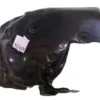 RENAULT KANGOO- 3- 08/13; ÖN ÇAMURLUK DAVLUMBAZI SOL ÖNÜN ARKASI 8200436709